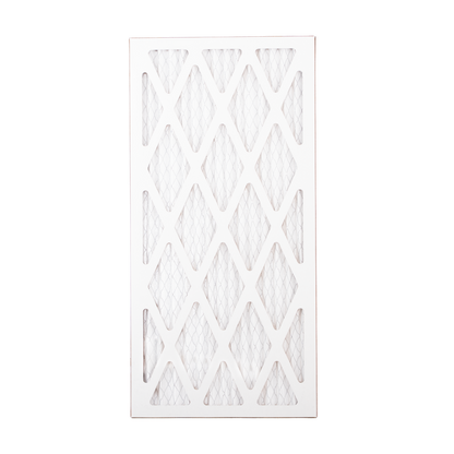 AirHeads Pleated Air filter