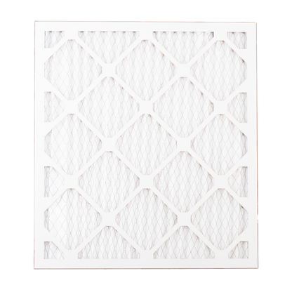 AirHeads Pleated Air filter